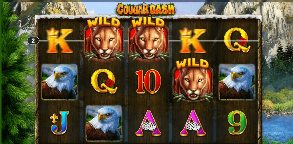 Cougar Cash Game Features