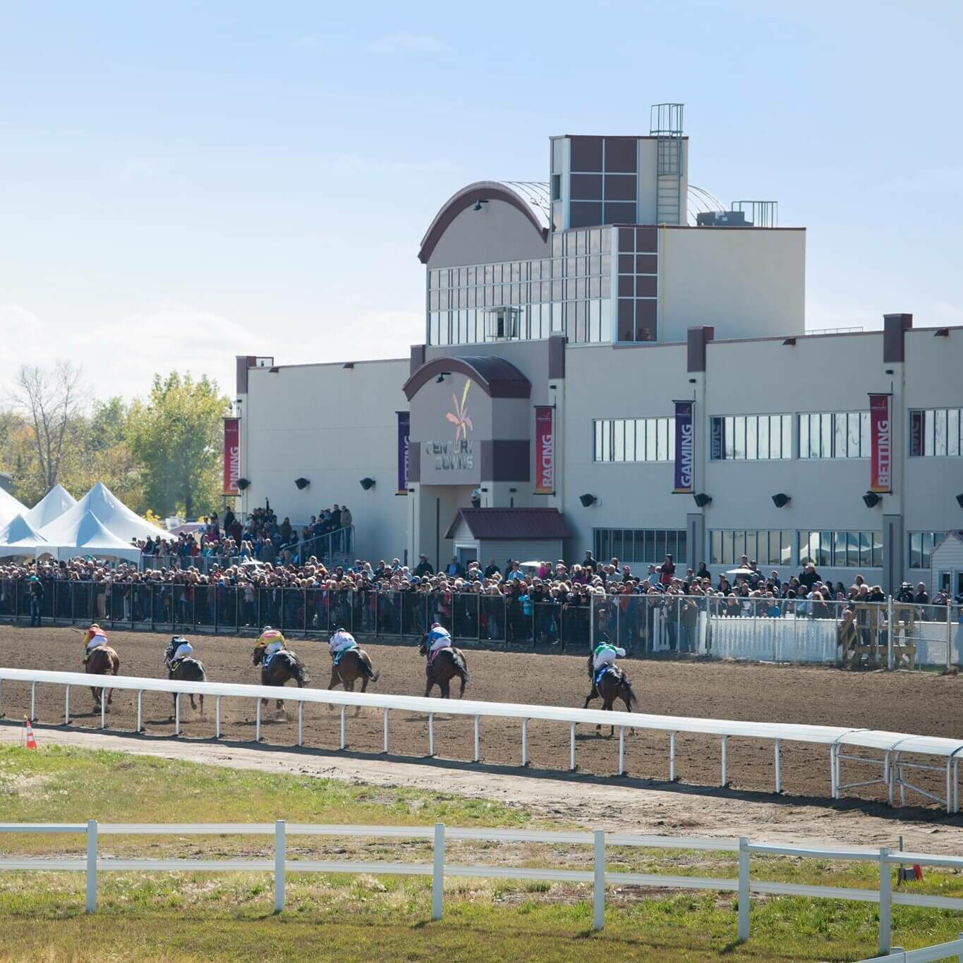 Downs Racetrack and Casino