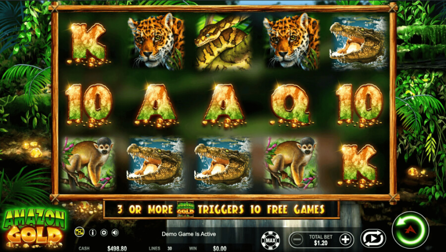 Amazon Gold Slot by Ainsworth - ACG