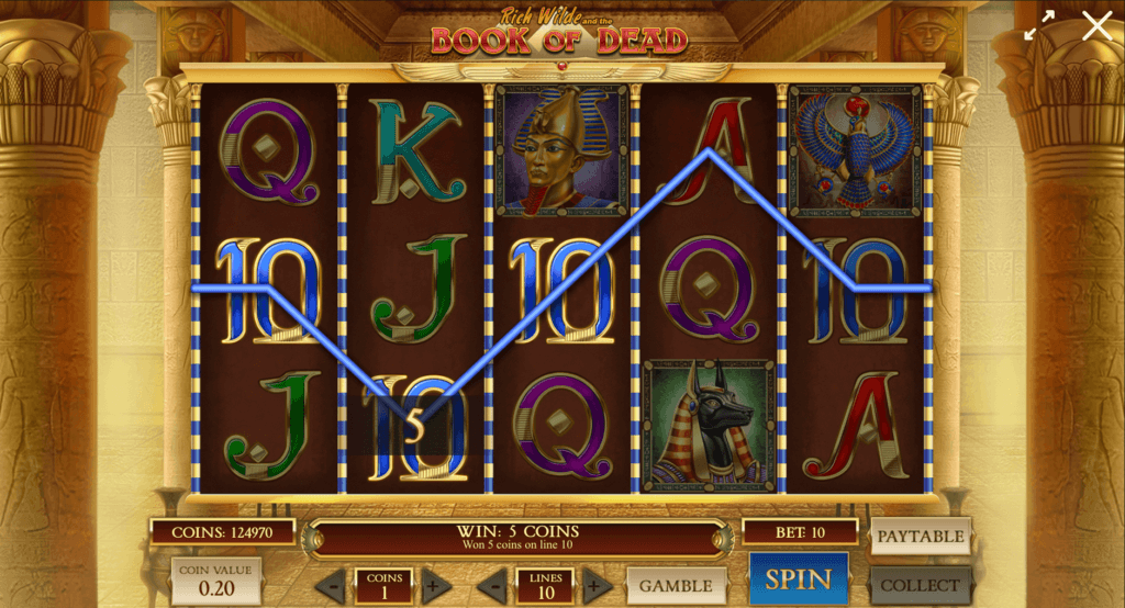 Book of Dead 5 reel slot